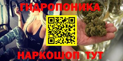 стафф Ликино-Дулёво