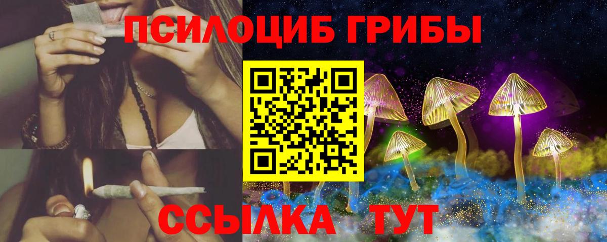 A PVP Каменск-Уральский